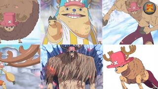 SEBERAPA KUAT BUAH IBLIS LUFFY BESERTA AWAKENINGNYA