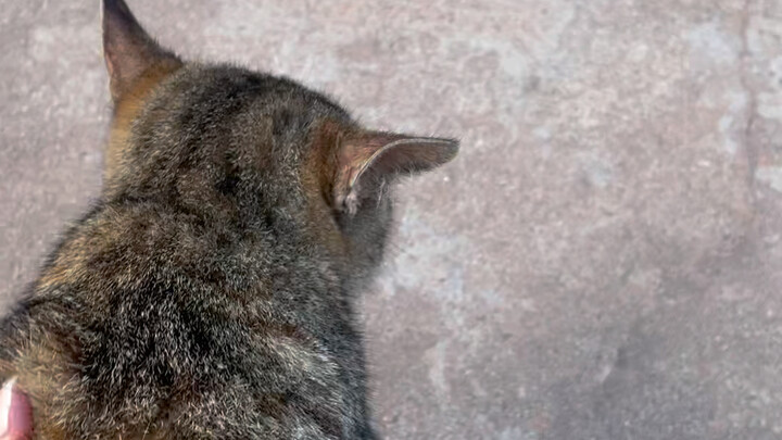 Lili said there's no need to cut even for a second.