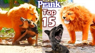 Best Prank Collection Top 15 - Fake Lion Prank Real Dog Super Funny - Try Not To Laugh Challenge