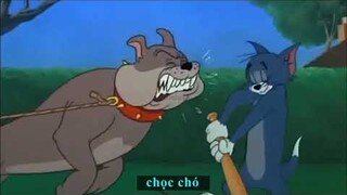 Nghỉ dịch ở nhà làm gì ??? Tom and Jerry chế 🤗🤗🤗