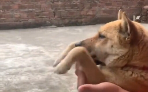 In 1974, he won the championship in his very first free-fighting match in Southeast Asia.