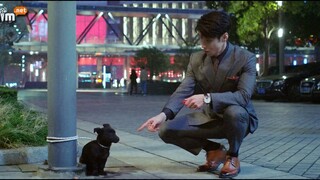 nửa là đường mật nửa là đau thương tập 34