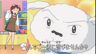 蜡笔小新新番2025 4月26日 小白的执着