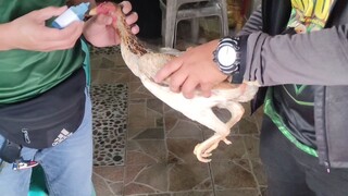 Vaccination Program.