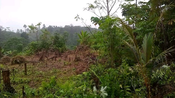 sa kabukiran