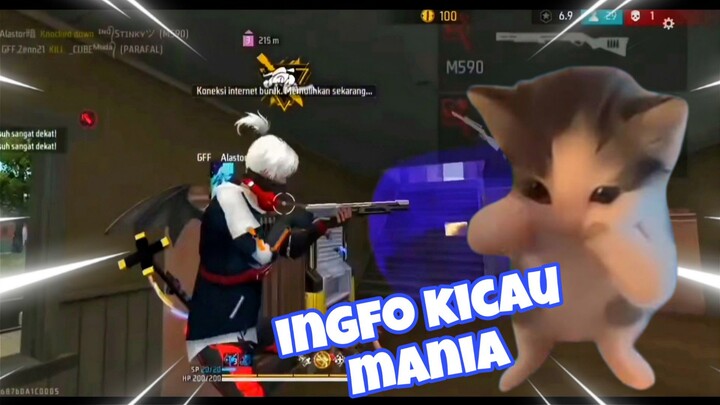 Jamsutt x kicau mania utiwii ratakan Bermuda 🐦🐦