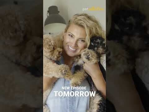 Show Us Your Pets! 💝 Tori Kelly Episode Teaser🐾
