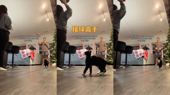 Ayo bawa dia bermain bersama!💗