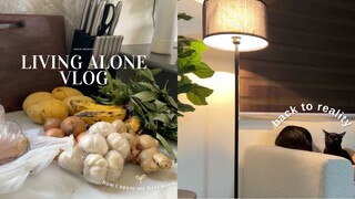 Living Alone in the Philippines: Productive January 🌱 life after the holidays, back to reality ☁️