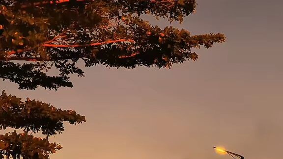 goodlife goodday goodvibe