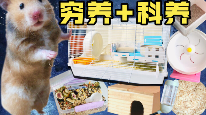 Raising Hamsters on a Budget + Scientific Care | What Are the Most Essential Supplies for Keeping Ha