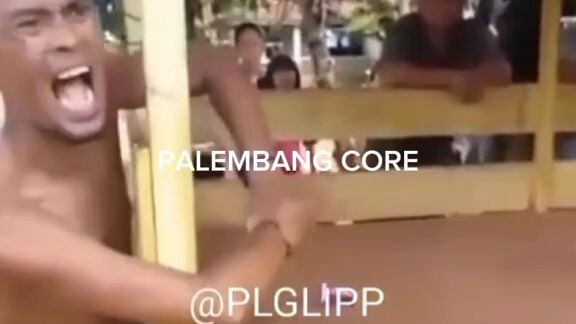 Palembang core,# kata²hariini