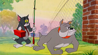 “วันละครั้ง หลีกเลี่ยงการนัดหมาย” #catandmouse