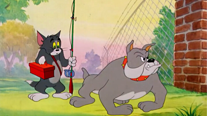 "Mỗi ngày một lần, tránh hẹn" #catandmouse