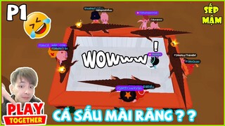 P1 CUỘC THI CÂU CÁ | Truy Tìm Cặp Đôi Hoàn Cảnh Trong PLAY TOGETHER | Sếp Mậm