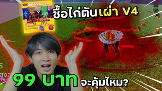 สุ่มไก่ตันเผ่าV4 99บาท ได้รหัสค่าหัว30ล้านเฉย!? | Blox Fruits Roblox