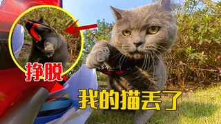 พาแมวไปเที่ยวสวนสาธารณะ แต่กลับทำแมวหาย เจ้าของสาวถึงกับร้องไห้โฮทันที!