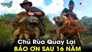 ✈️ 10 Câu Chuyện Ý Nghĩa Về Động Vật Cho Thấy Vạn Vật Trên Đời Đều Có Linh Có Cảm Xúc