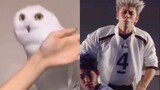 [Volleyball Boys Stage Play] Is this the Bokuto Bento? It's the owl cat!