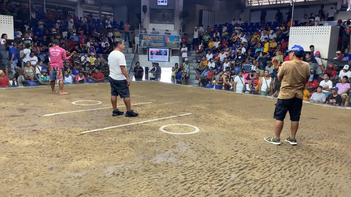 Win mayahin 04/18/2026