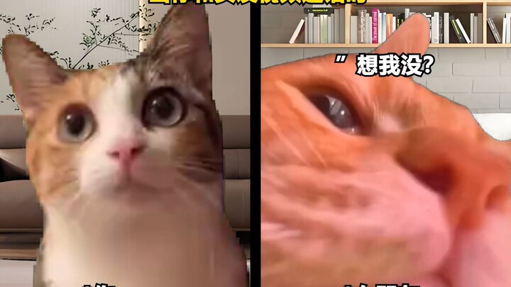 一次主动换来终身内向 #内容过于真实 #见家长 #情侣日常 #猫meme