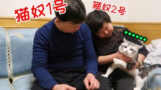 真香！当初不让养猫的爸妈，现在吸猫比谁都猛...