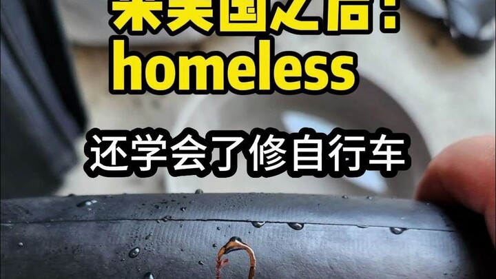 【Meme Kucing】Sebelum Kuliah di Luar Negeri: Putri Kecil Kelas Menengah → Setelah Kuliah di Luar Nege