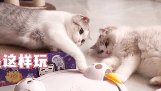 พัฟมีน้องชาย แต่น้องชายไม่มีน้องชาย