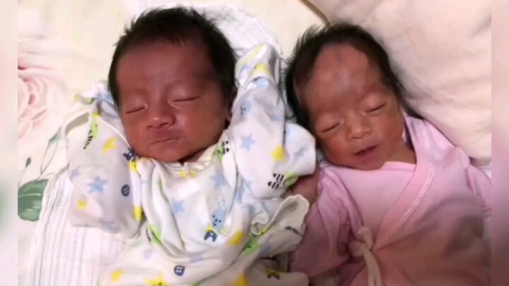 Don’t throw away those newborn human babies—here comes the mixed-race baby’s comeback!