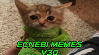 ECNEBI MEMES V30