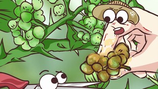 新鲜藤椒用手捏了之后还能用吗？