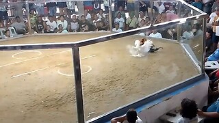 1st fight
