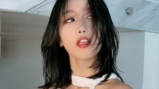 I just want to ask, where can I take the exam for the Social Cow Certificate? !