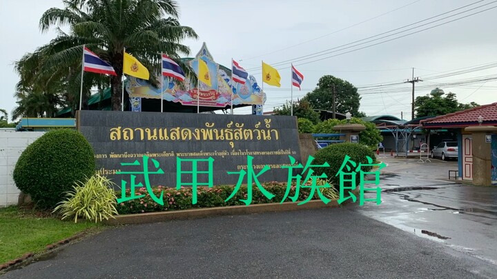 素攀武里府武甲水族館