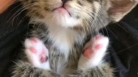 😜🤪