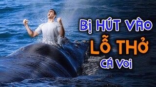 ĐIỀU GÌ XẢY RA NẾU BẠN BỊ HÚT VÀO LỖ THỞ CỦA CÁ VOI???