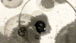 Have you ever seen characters like these?