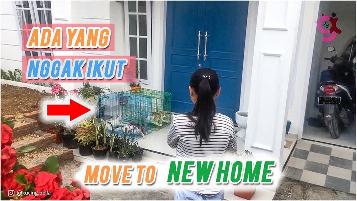 Pindah Ke Rumah Baru 🏡 Gimana Reaksi Para Kucing Ya???🤔🤭
