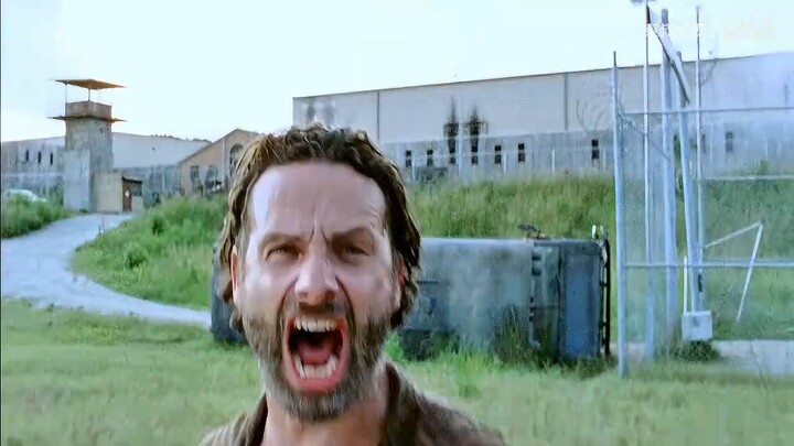 Top 5 phim The Walking Dead