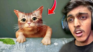 I BECAME A CUTEST CAT😍..!! GAME THERAPIST