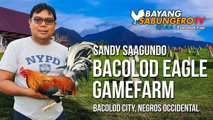 Bacolod Eagle Gamefarm - Sandy Saagundo