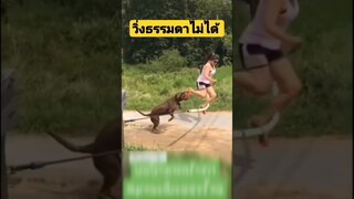 *ดูคลิปเต็มลิงค์ข้างบน* วิ่งธรรมดามันไม่ได้พละกำลัง #funny #awesome #reels #รวมคลิปตลก
