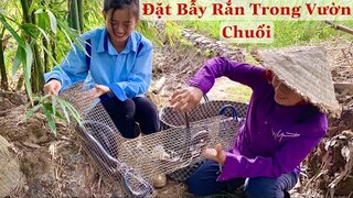 Lần Đầu Trải Nghiệm Đặt Bẫy Rắn Cùng Mợ Hai | NĐMT#172