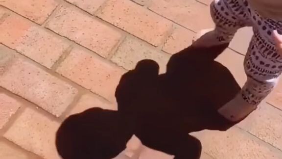 🤣