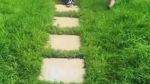 funny babies