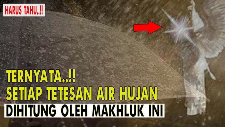 JARANG DIKETAHUI..!! Inilah 4 MAKHLUK ALLAH YANG JARANG DIKETAHUI BANYAK ORANG