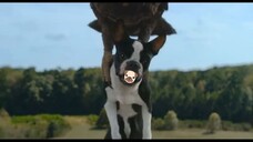 Headspace Official Trailer