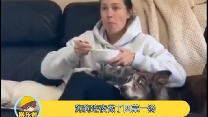 Chú cún tràn đầy năng lượng thế này thì làm sao mà không yêu cho được!