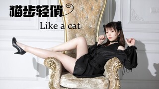 【汐渊】猫步轻俏  ❤like  a  cat❤  伪 微剧情MV