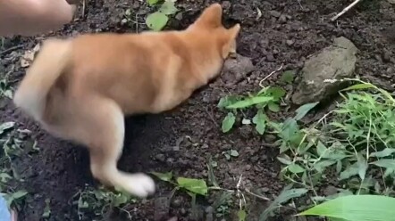 Menikmati Sepenuhnya